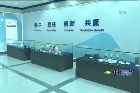 武汉“光芯屏端网”核心企业超500家 三年内上市公司数量有望翻倍视频封面