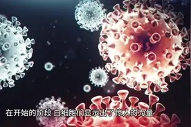 白细胞与病毒的对战视频封面