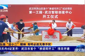 速度之最！3天内4证发齐！武汉市首个“承诺即开工”项目开建视频封面