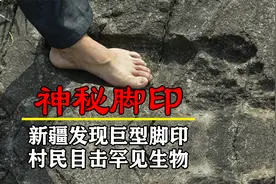 新疆深山发现巨型脚印，村民目击罕见生物，史前巨人真的存在？视频封面