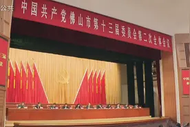 中共佛山市委十三届二次全会召开视频封面