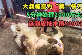 大叔被誉为“第一刀客”，5分钟处理2000斤大牛，这技术值5000元视频封面