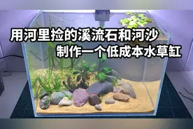 用河里捡的溪流石和河沙制作一个低成本水草缸视频封面