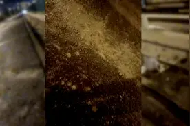 北京机场二高速出现大面积遗撒造成多车损坏，民警迅速破案视频封面