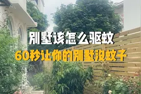 别墅怎么做没有蚊子？60秒就能让你家别墅不被蚊子折磨！视频封面