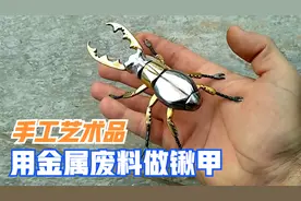 国外手工艺术家，用金属废料做了一只1:1比例的昆虫模型，太酷了视频封面