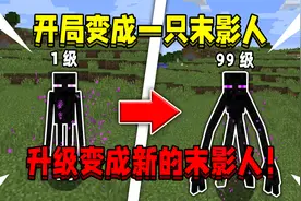 开局变成一只末影人！升级就能变成变异末影人，该如何打败末影龙视频封面