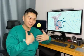 常听到的“兔子洞”是什么意思？视频封面