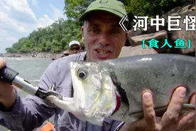 今天杰叔带大家揭秘食人鱼到底吃不吃人？@西瓜视频创作中心视频封面