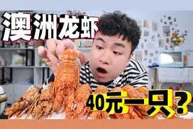 花40元就能吃到澳洲龙虾？320元买到8只，这么便宜能好吃吗？视频封面