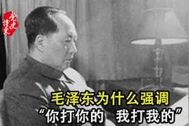 毛泽东为什么强调“你打你的，我打我的”视频封面