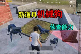 和平精英揭秘：新道具“机械狗”，有侦查功能，还可以放进背包！视频封面