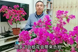 给花施肥浓度把握不准？一小勺是多少克？电子天平告诉你真像！