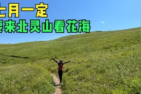 北京最近的高山草甸 北灵山韭菜坡10公里摘韭菜，这比市区低几度视频封面