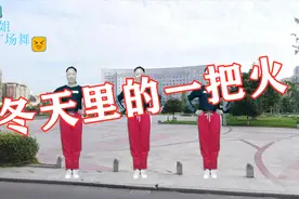 费翔经典歌曲《冬天里的一把火》你的大眼睛明亮又闪烁视频封面
