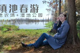 昆明市晋宁区昆阳镇农场：滇池湿地风光怡人，2021年第一场春游视频封面