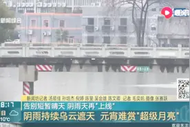 难得的好天气却“好景不长”,乌云遮天阴雨持续,雨水再度“上线”视频封面