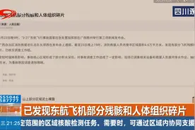 已发现东航飞机部分残骸和人体组织碎片视频封面