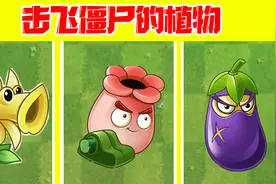 植物大战僵尸：能把僵尸击飞的植物！熊果臼炮隐藏的王者？视频封面