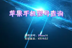 苹果手机型号查询视频封面