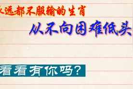 永远都不服输的生肖，从不向困难低头！看看有你吗？视频封面