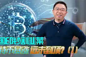 加密货币的半壁江山——爆火的比特币竟是这样诞生的！视频封面