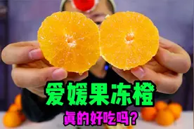 测评最近网上卖的很火的爱媛果冻橙，吃起来真的像果冻那么好吃吗视频封面