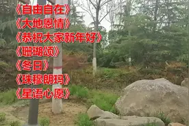 《大地恩情》《恭祝大家新年好》《珊瑚颂》《冬日》《珠穆朗玛》视频封面