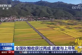 农业农村部：近期多轮降雨影响有限，没有改变全国秋粮丰收的大局视频封面