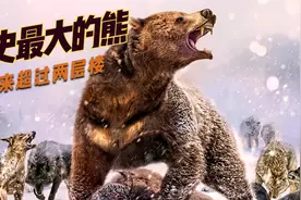 它是历史最大的巨熊，站起来5M高，现存北极熊在它面前都是弟弟！视频封面