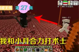 我的世界阿阳虚无传27：打术士合作是关键，两人协力两刀解决视频封面