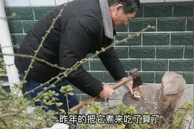 婆婆妈拿出存了一年的猪脚，和老虎姜一起炖，却因一把花生黑了汤视频封面