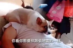 搞笑视频：兄弟看啥呢？说话呀看什么呢？这也没有东西你看什么呢视频封面
