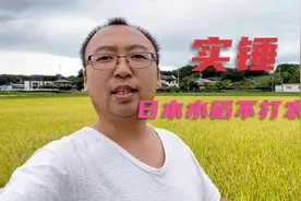 日本真的不打农药？实锤谣言！日本水稻用的农药多的数不清视频封面