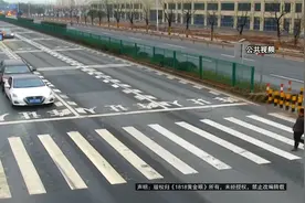 【1818黄金眼】斑马线前不减速 司机比划“一小杯”视频封面