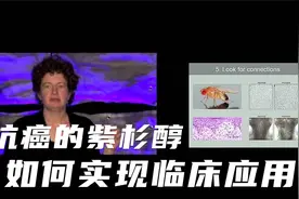 紫衫醇从难以提取到成为治疗癌症特效药经历了什么？