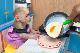 小猴子比比搬新家，这次的装修风格是满满的公主粉视频封面