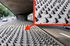 为赶走流浪汉，天桥底下设置水泥锥？5个有意思的城市建设视频封面