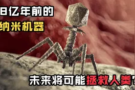 诞生于38亿年前的纳米机器人?揭秘地球上最强大的病毒“噬菌体”