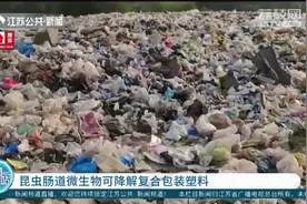 研究新发现：昆虫肠道微生物可降解复合包装塑料视频封面