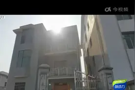 吉安安福：稀奇！母鸡下了“金蛋”视频封面