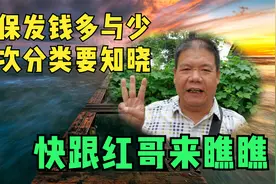 低保发钱多与少，档次分类要知晓，快跟红哥来瞧瞧视频封面