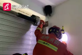 以为在看恐怖片！贵州这家人天花板上“垂着一颗头” 网友：害怕视频封面