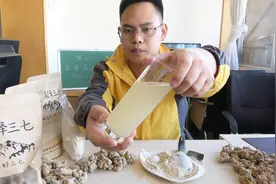 云南文山纯三七粉泡水的的颜色及真假辨别区分视频封面