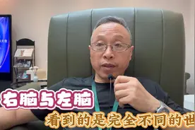 右脑与左脑看到的是完全不同的世界
