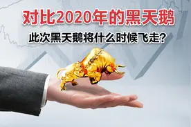 回看2020年的病毒黑天鹅，给这次的黑天鹅有何启示？我总结了三点视频封面