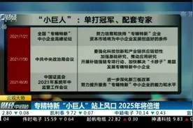 云观大势：专精特新“小巨人”站上风口 2025年将倍增视频封面
