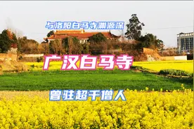 曾驻1千多僧人，在全国有影响力的广汉白马寺，如今寂寥无围墙