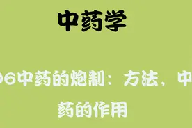 01.中药学-06中药的炮制：方法，中药的作用【转载】视频封面