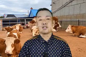 牛胃积食可以灌食用油吗？牛流胃积食灌液体石蜡还能灌香油吗？视频封面